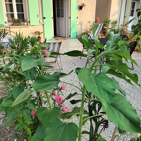 假日公园 Maison Coquette En Camargue