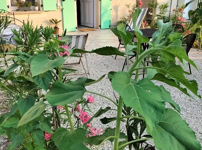 Holiday park Maison Coquette En Camargue